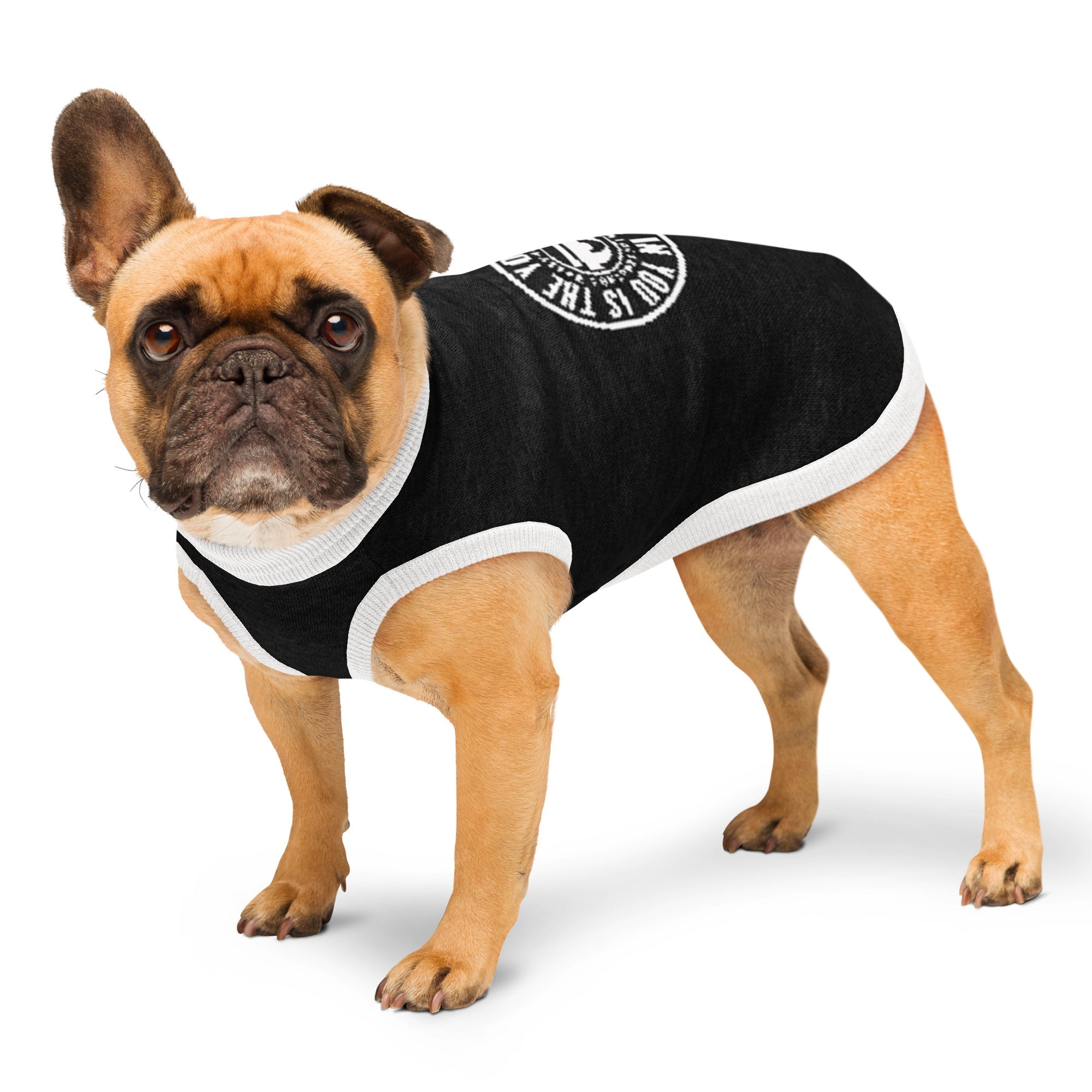 Pet Friendly Gear